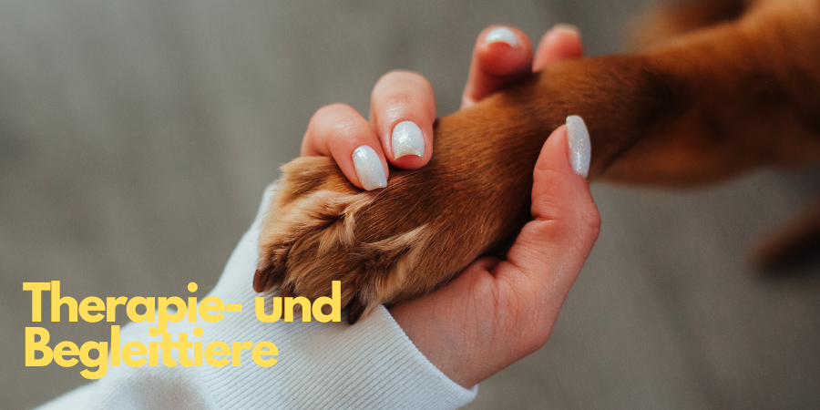 Therapie und Begleittiere